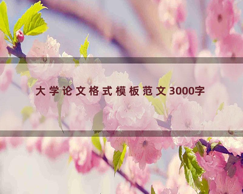 大学论文格式模板范文3000字