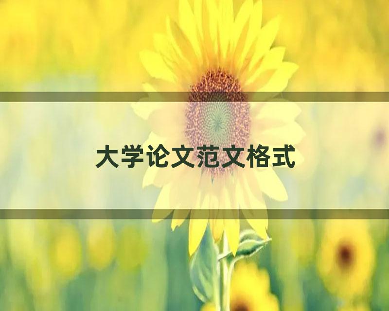 大学论文范文格式
