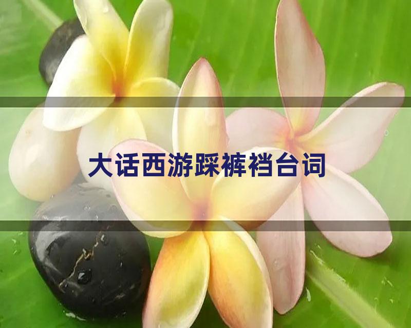 大话西游踩裤裆台词