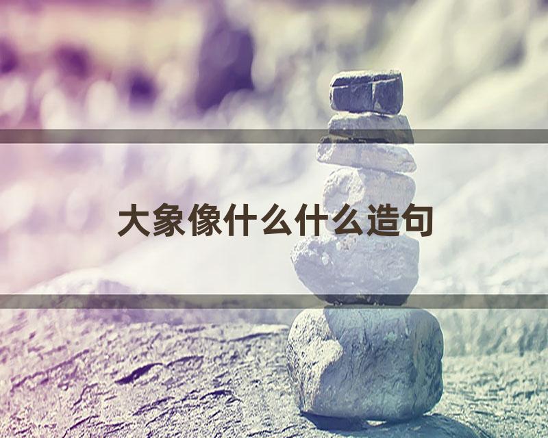 大象像什么什么造句