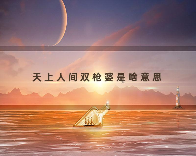 天上人间双枪婆是啥意思