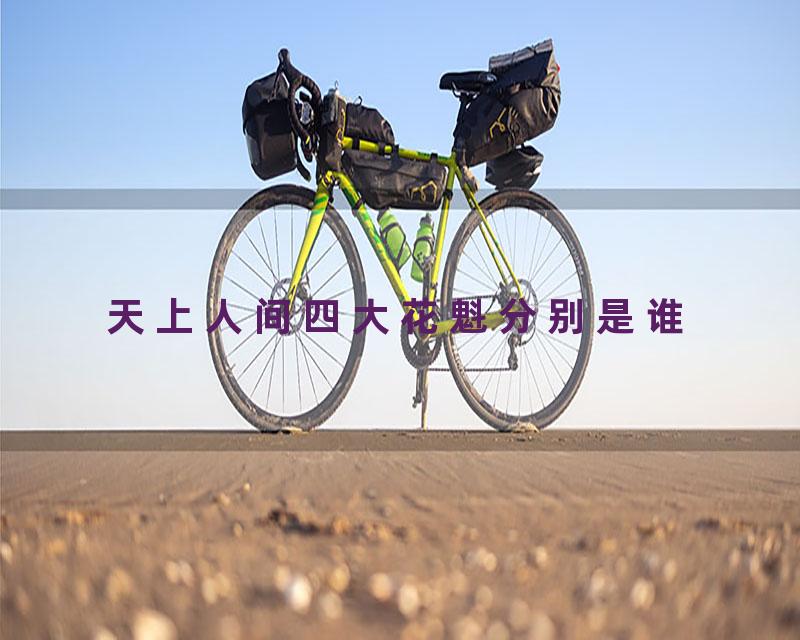 天上人间四大花魁分别是谁