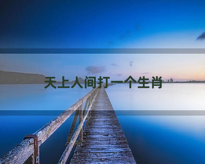 天上人间打一个生肖