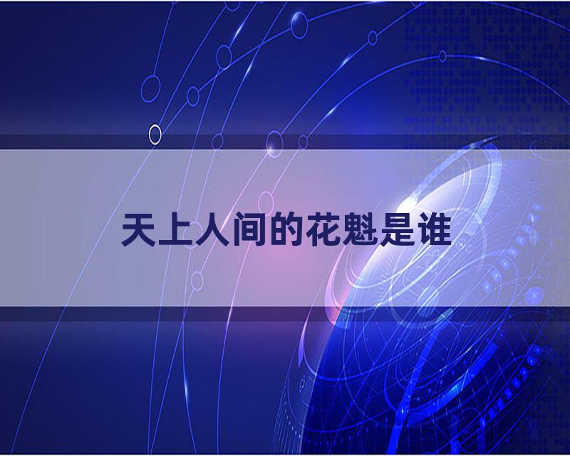 天上人间的花魁是谁
