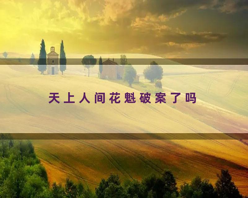 天上人间花魁破案了吗