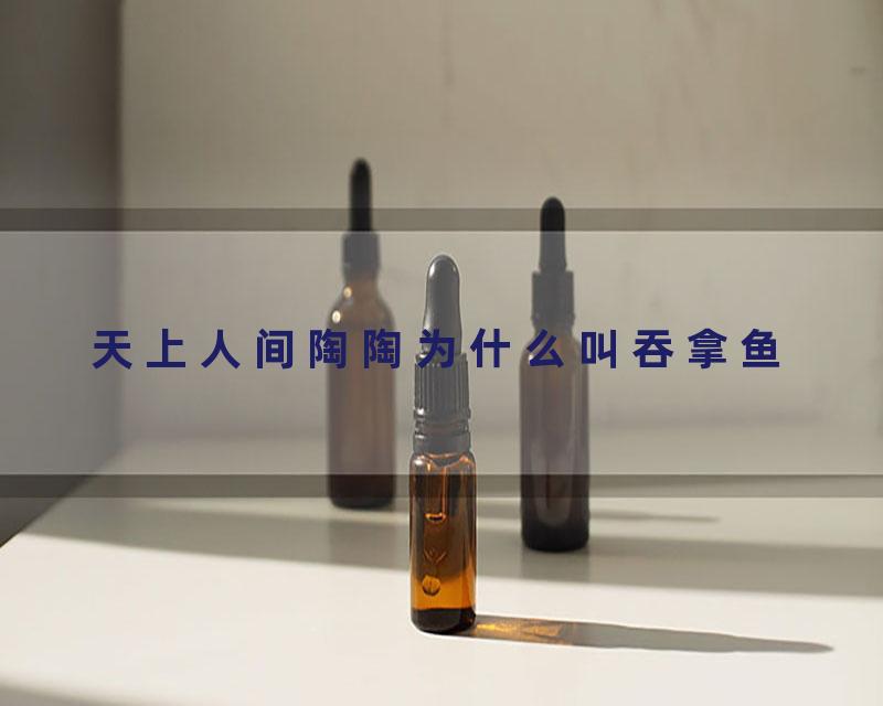 天上人间陶陶为什么叫吞拿鱼