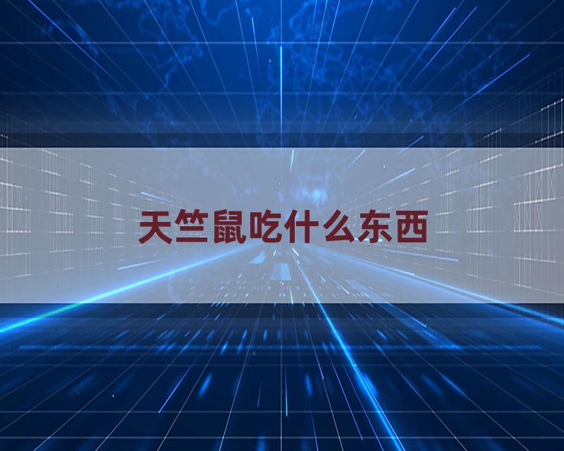 天竺鼠吃什么东西