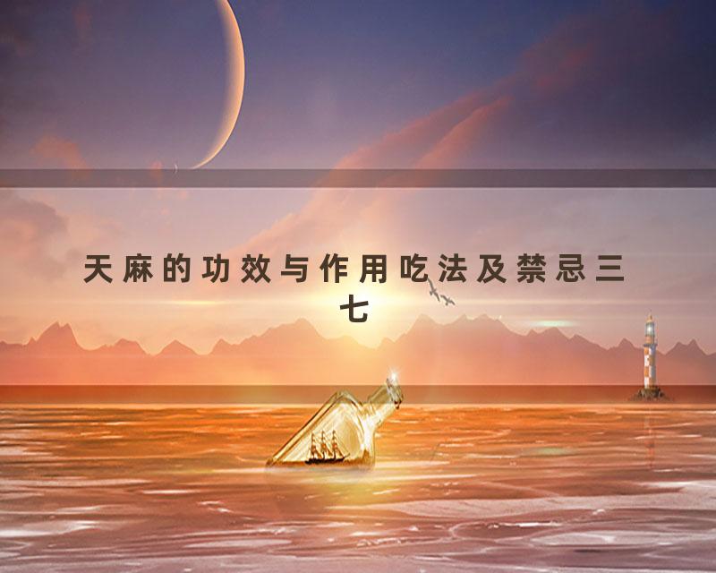 天麻的功效与作用吃法及禁忌三七