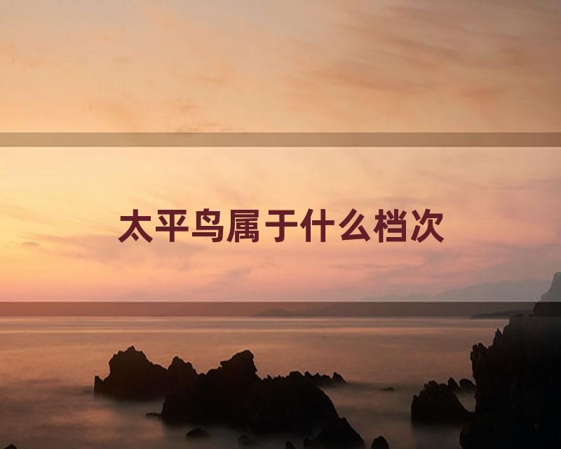 太平鸟属于什么档次