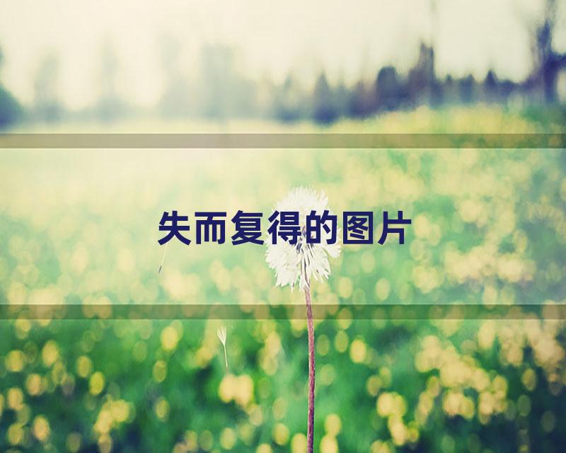 失而复得的图片