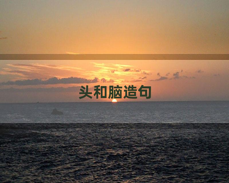 头和脑造句