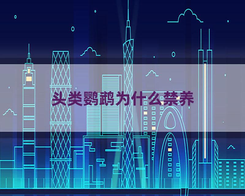 头类鹦鹉为什么禁养