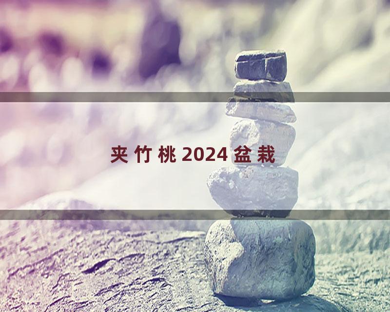 夹竹桃2024 盆栽