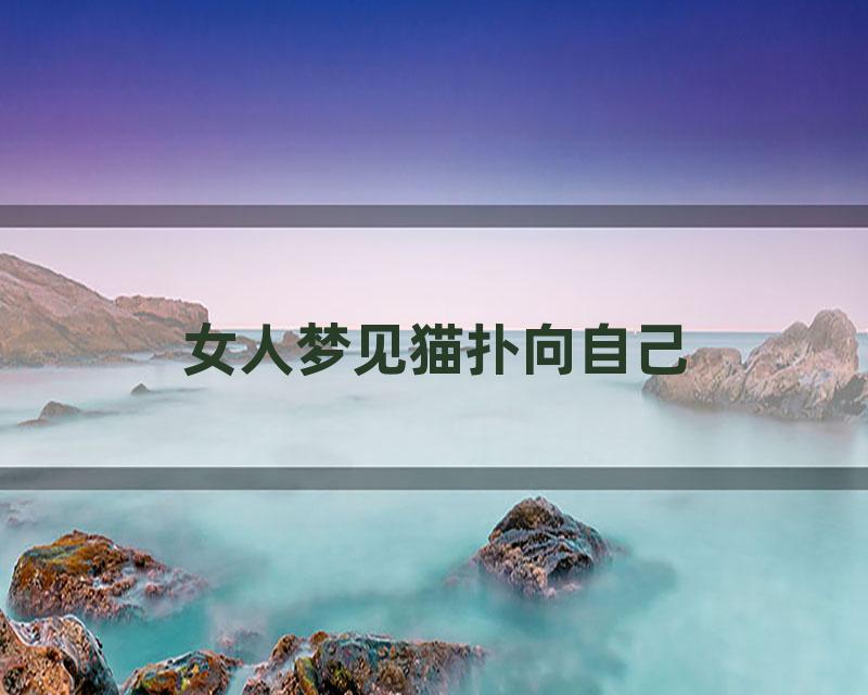 女人梦见猫扑向自己