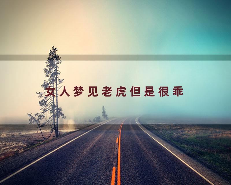 女人梦见老虎但是很乖