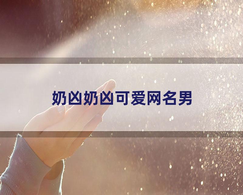 奶凶奶凶可爱网名男