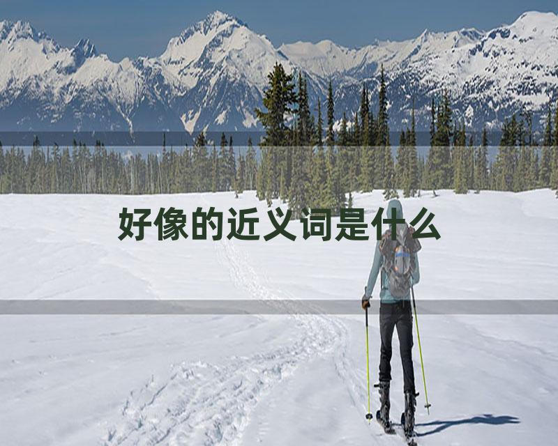 好像的近义词是什么