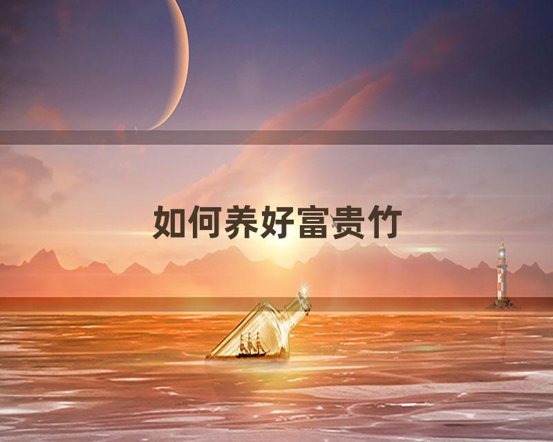 如何养好富贵竹