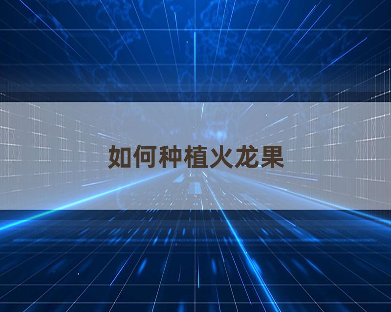 如何种植火龙果