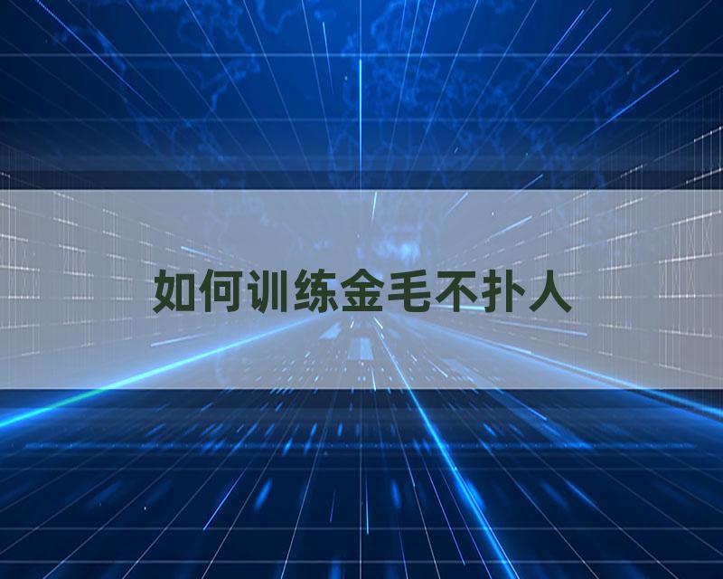 如何训练金毛不扑人