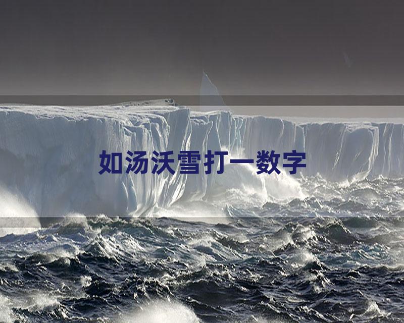 如汤沃雪打一数字