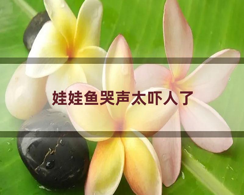 娃娃鱼哭声太吓人了