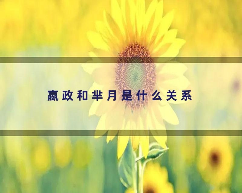 嬴政和芈月是什么关系