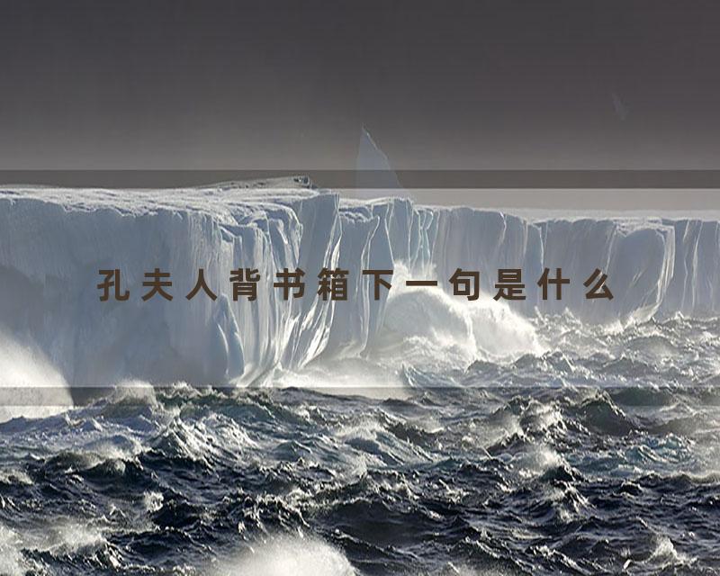 孔夫人背书箱下一句是什么