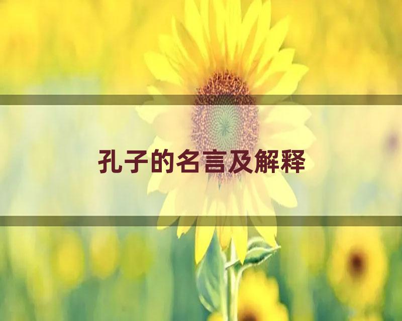 孔子的名言及解释