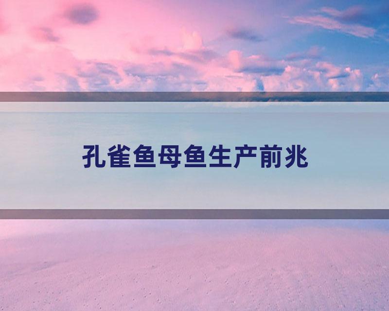 孔雀鱼母鱼生产前兆