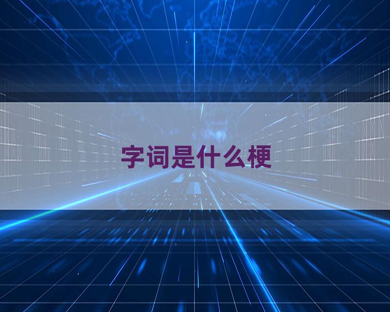 字词是什么梗