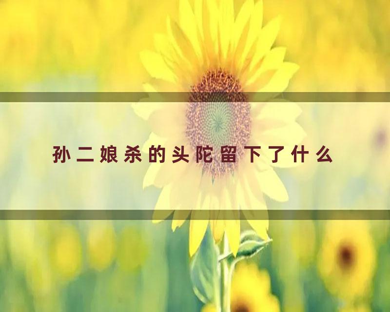 孙二娘杀的头陀留下了什么