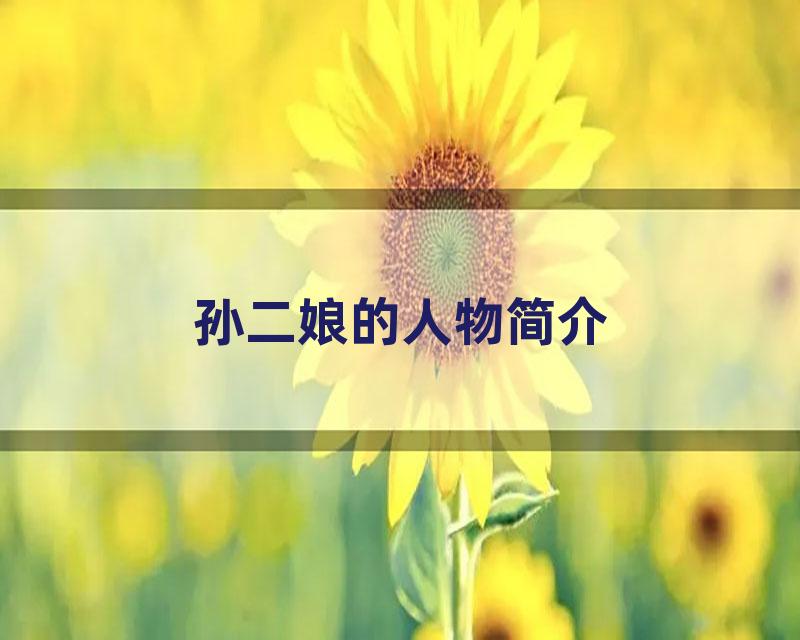 孙二娘的人物简介