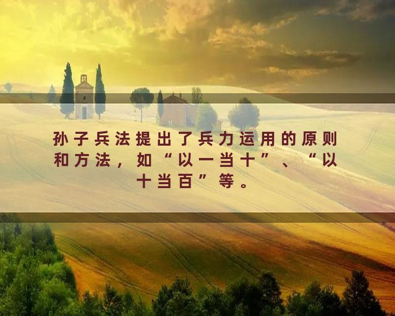 孙子兵法提出了兵力运用的原则和方法，如“以一当十”、“以十当百”等。