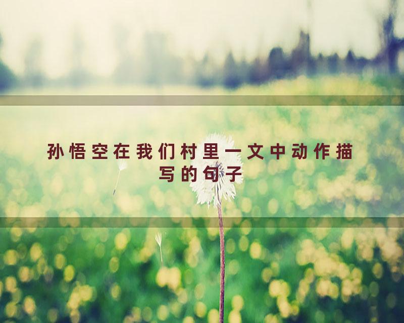 孙悟空在我们村里一文中动作描写的句子