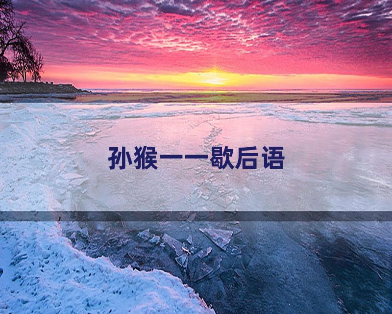 孙猴一一歇后语