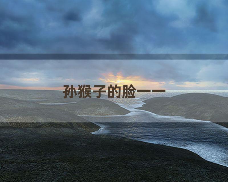 孙猴子的脸一一