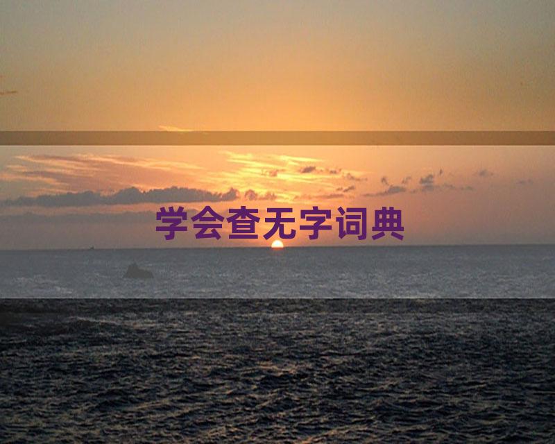 学会查无字词典
