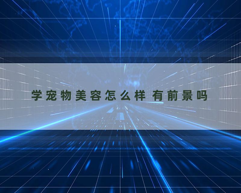 学宠物美容怎么样 有前景吗