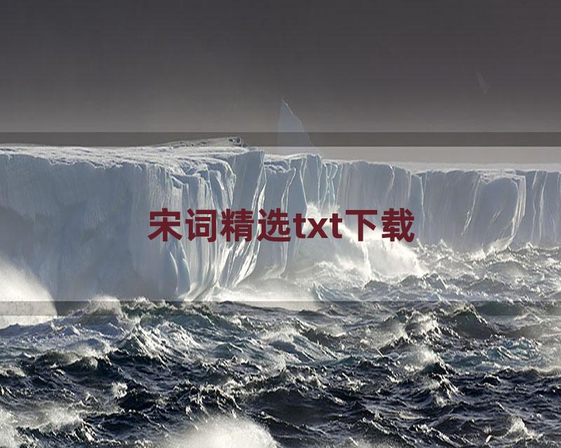 宋词精选txt下载