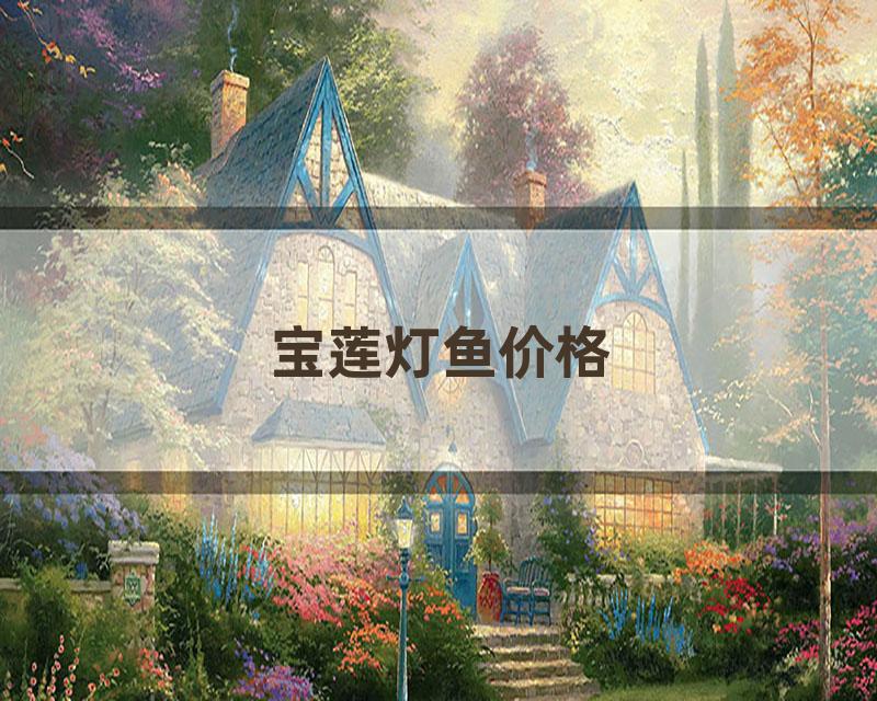 宝莲灯鱼价格