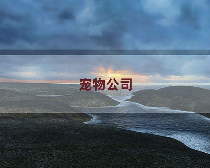 宠物公司