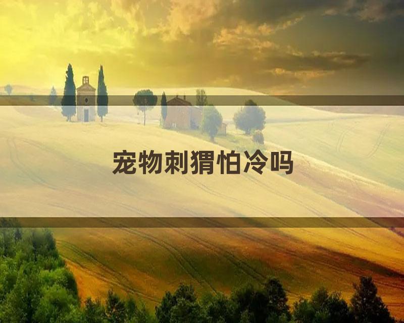 宠物刺猬怕冷吗