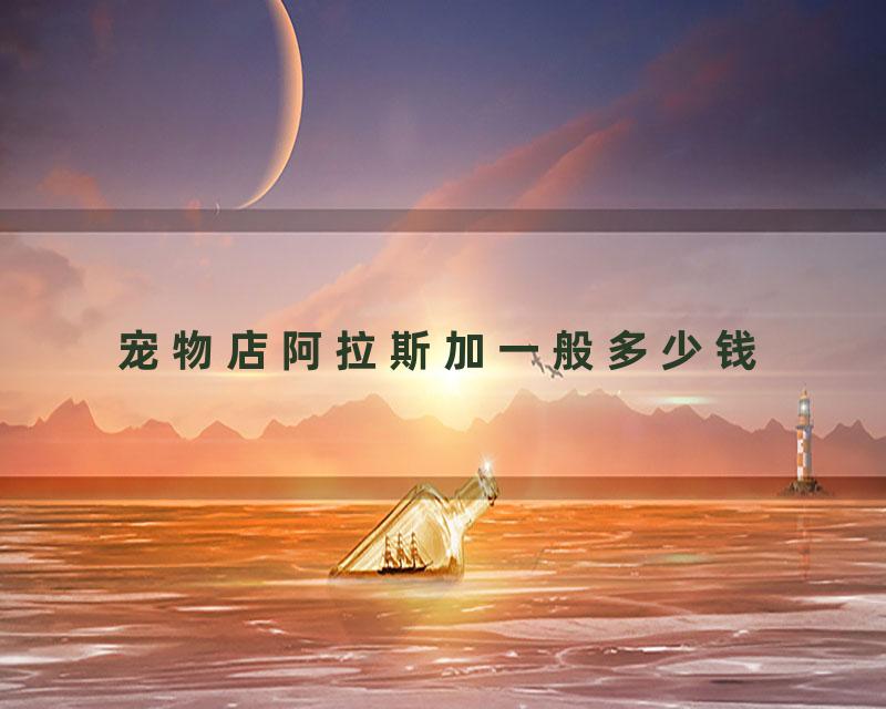 宠物店阿拉斯加一般多少钱