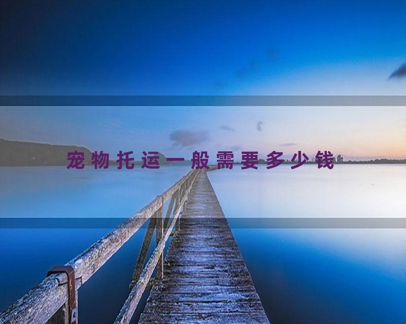 宠物托运一般需要多少钱