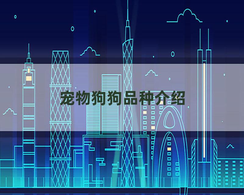 宠物狗狗品种介绍