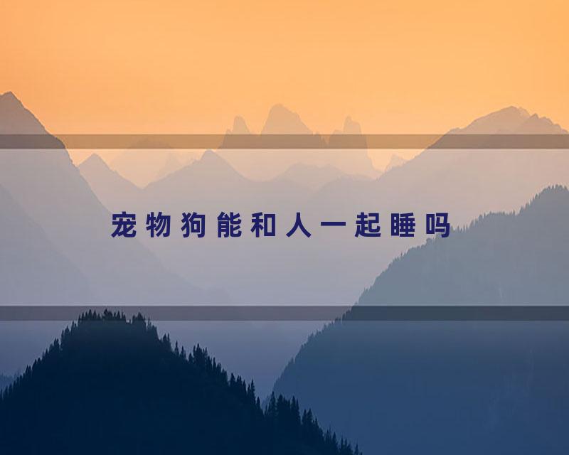 宠物狗能和人一起睡吗