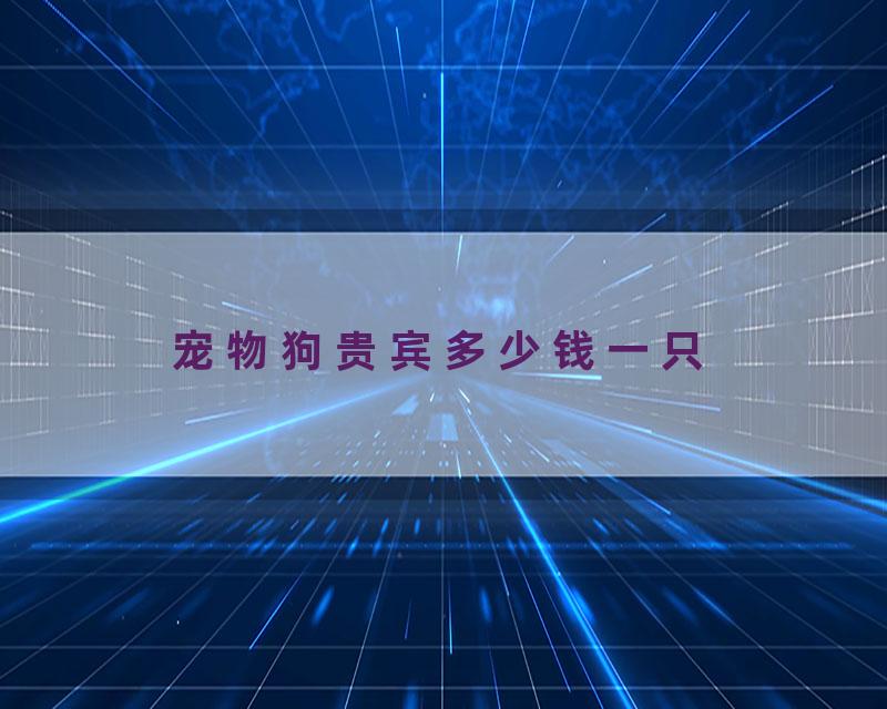 宠物狗贵宾多少钱一只