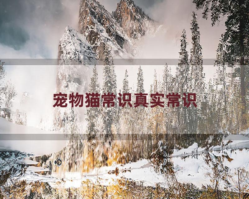 宠物猫常识真实常识