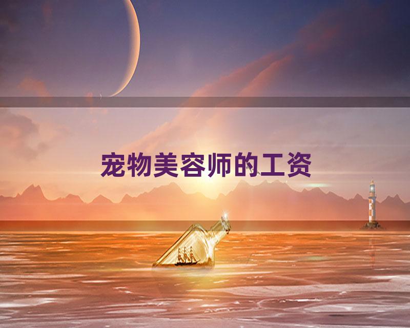 宠物美容师的工资